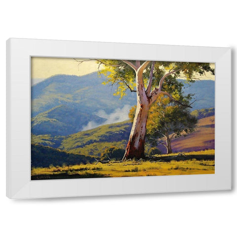 Koala Gum Tree White Modern Wood Framed Art Print by Gercken, Graham
