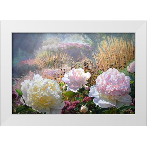 Three Peonies White Modern Wood Framed Art Print by Kopania, Zbigniew