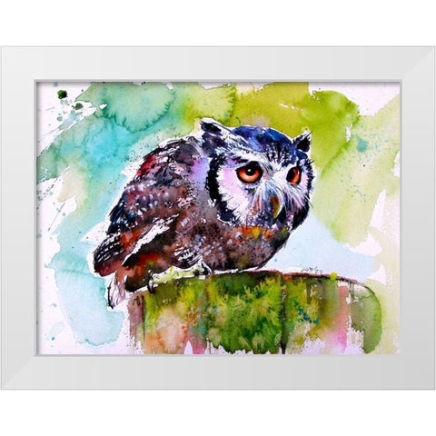 Resting Owl White Modern Wood Framed Art Print by Kovacs, Anna Brigite