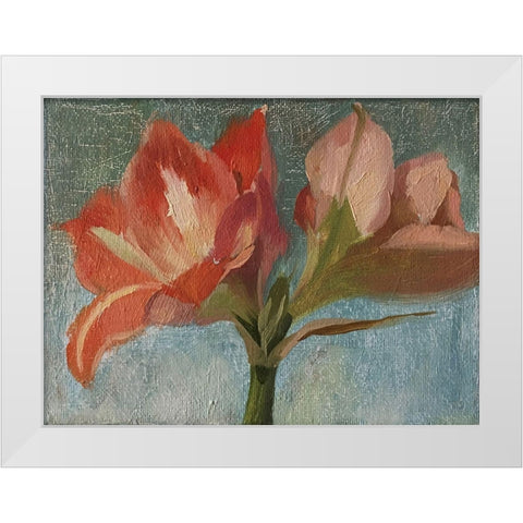 Pink Amarylis White Modern Wood Framed Art Print by Strube, Ling
