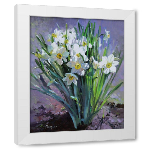 Daffodils Bloomed White Modern Wood Framed Art Print by Rogozina, Svetlana