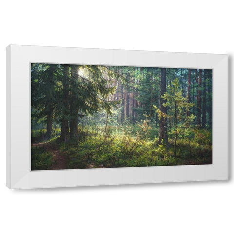 The Secret of the Morning Forest White Modern Wood Framed Art Print by Yushkevich, Viktor
