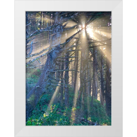 Hobbit Trail I White Modern Wood Framed Art Print by Knoble