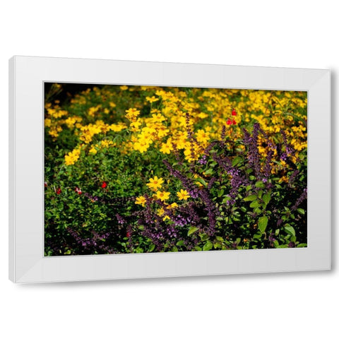 Wildflowers I White Modern Wood Framed Art Print by Knoble