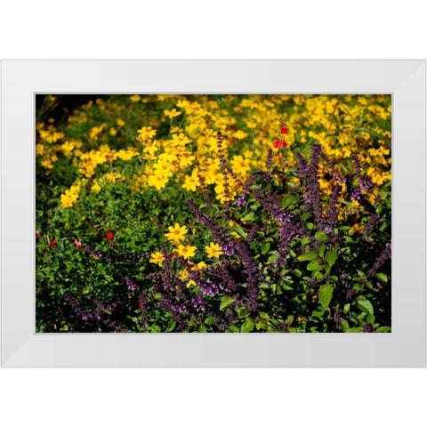Wildflowers I White Modern Wood Framed Art Print by Knoble