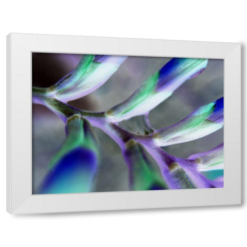 Purple Spine White Modern Wood Framed Art Print by Grayscale