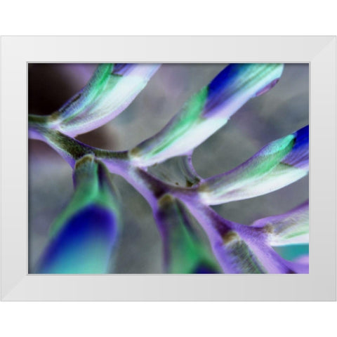 Purple Spine White Modern Wood Framed Art Print by Grayscale