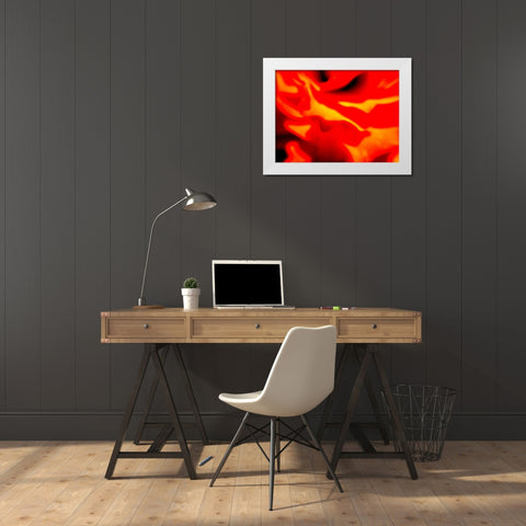 Red Petal I White Modern Wood Framed Art Print by Grayscale