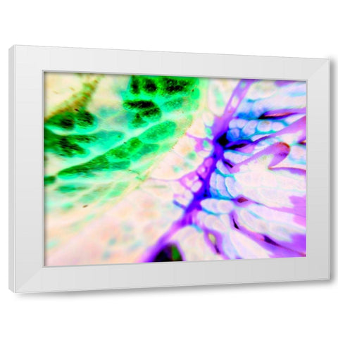 Biologic I White Modern Wood Framed Art Print by Grayscale