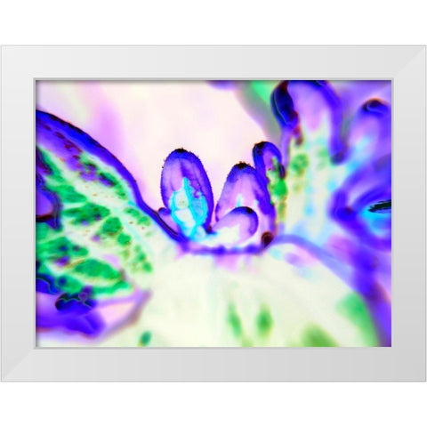Biologic II White Modern Wood Framed Art Print by Grayscale