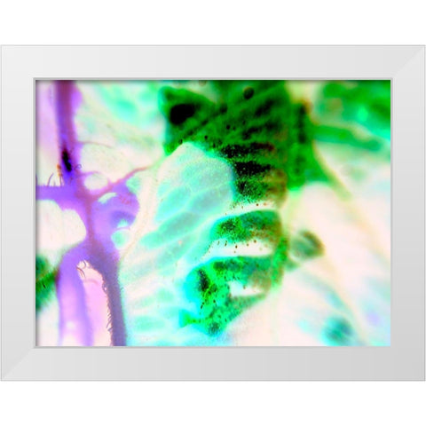Biologic III White Modern Wood Framed Art Print by Grayscale