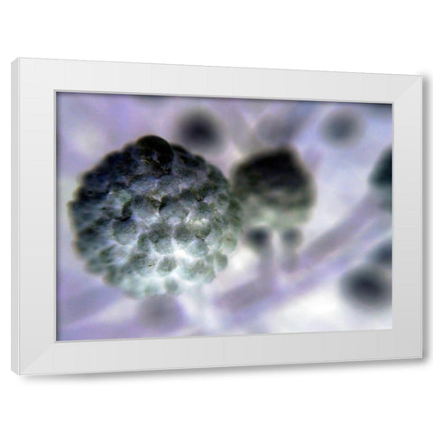Soft Cluster I White Modern Wood Framed Art Print by Grayscale