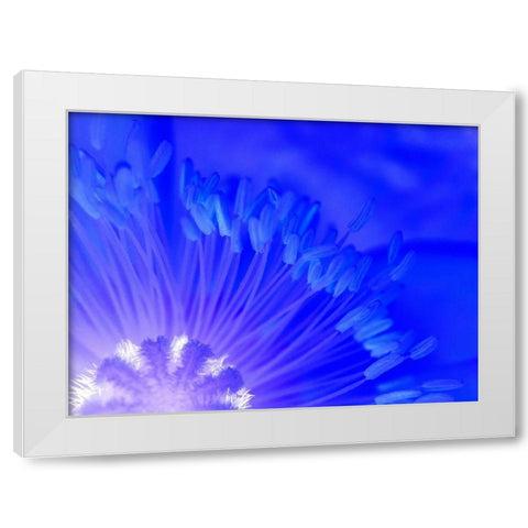 Natural Reactor I White Modern Wood Framed Art Print by Grayscale