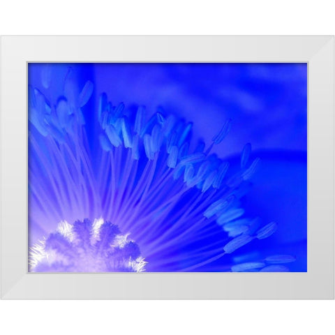 Natural Reactor I White Modern Wood Framed Art Print by Grayscale