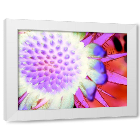 Natural Glow I White Modern Wood Framed Art Print by Grayscale