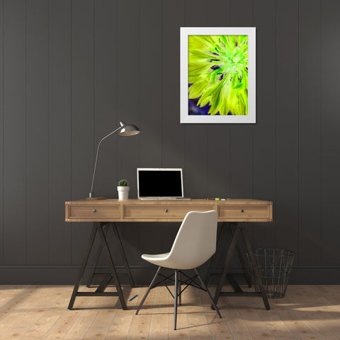 Natural Glow II White Modern Wood Framed Art Print by Grayscale