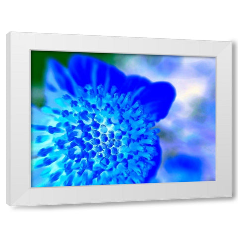 Blue Ball II White Modern Wood Framed Art Print by Grayscale