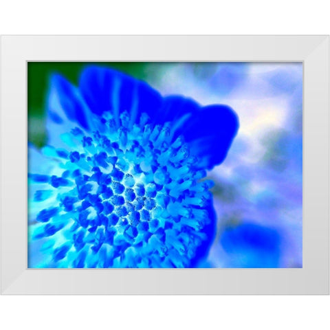 Blue Ball II White Modern Wood Framed Art Print by Grayscale