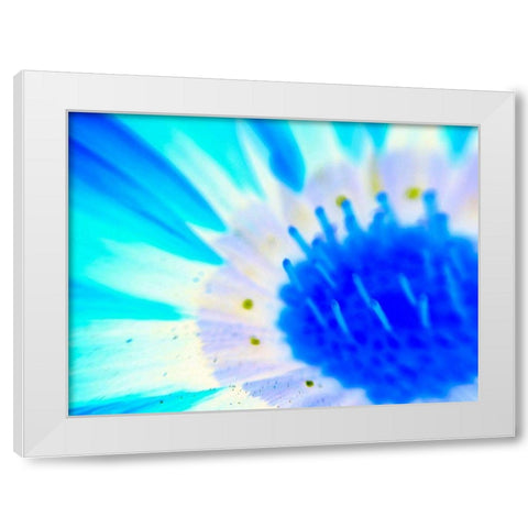 Natural Glow III White Modern Wood Framed Art Print by Grayscale