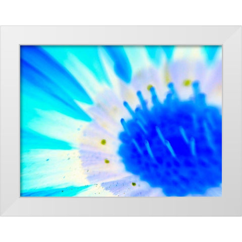 Natural Glow III White Modern Wood Framed Art Print by Grayscale