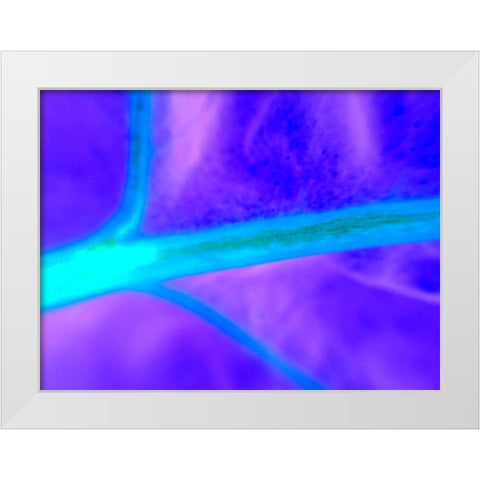 Energy Connection I White Modern Wood Framed Art Print by Grayscale