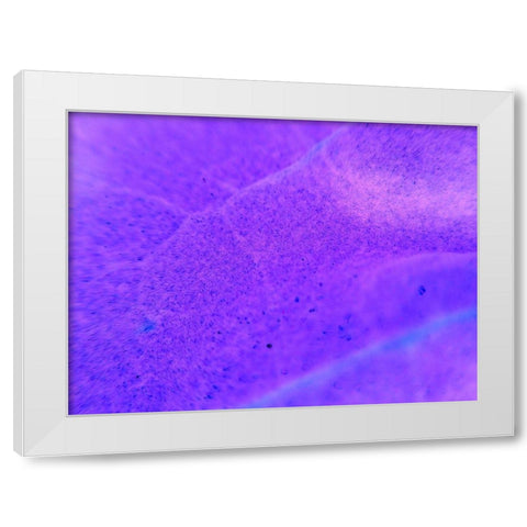 Energy Connection II White Modern Wood Framed Art Print by Grayscale