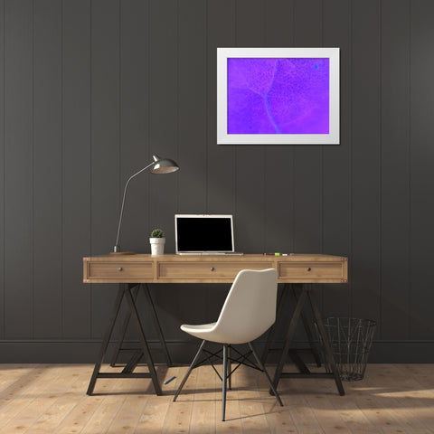 Energy Connection III White Modern Wood Framed Art Print by Grayscale
