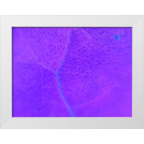 Energy Connection III White Modern Wood Framed Art Print by Grayscale