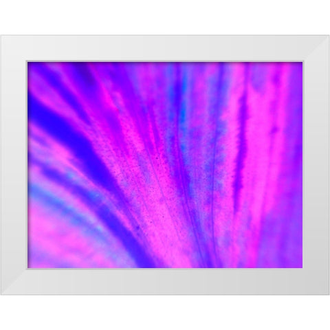 Energy Connection IV White Modern Wood Framed Art Print by Grayscale
