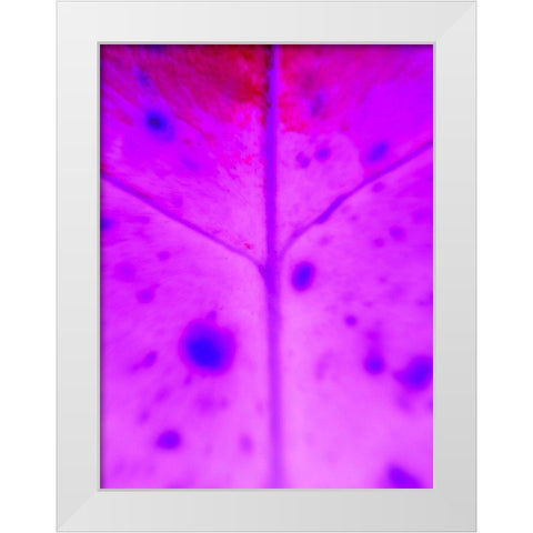 Purple Branch White Modern Wood Framed Art Print by Grayscale