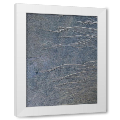 Sand Fibers I White Modern Wood Framed Art Print by Grayscale