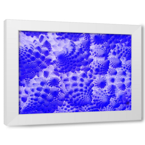 Fractal Clouds II White Modern Wood Framed Art Print by Grayscale