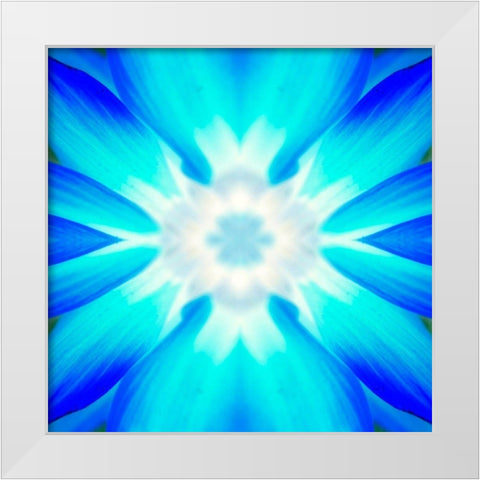 Flower Medallion IV White Modern Wood Framed Art Print by Grayscale