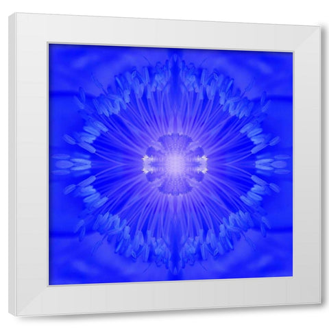 Flower Medallion I White Modern Wood Framed Art Print by Grayscale