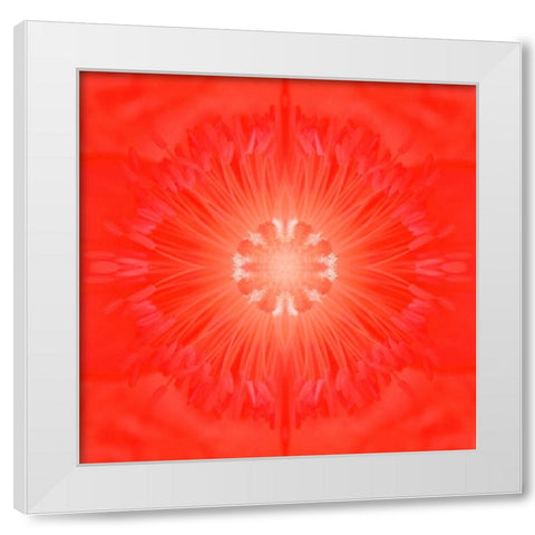 Flower Medallion III White Modern Wood Framed Art Print by Grayscale