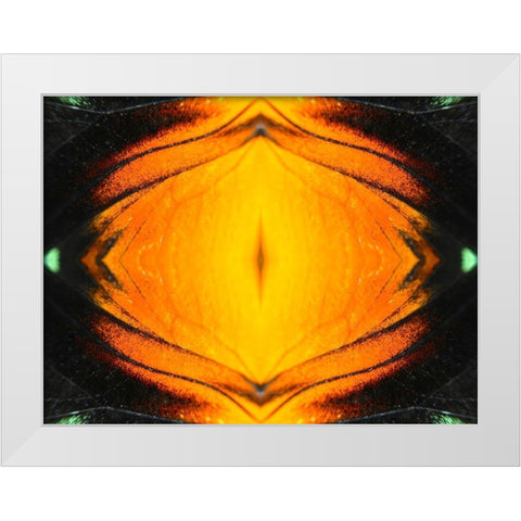 Butterfly Eye I White Modern Wood Framed Art Print by Grayscale