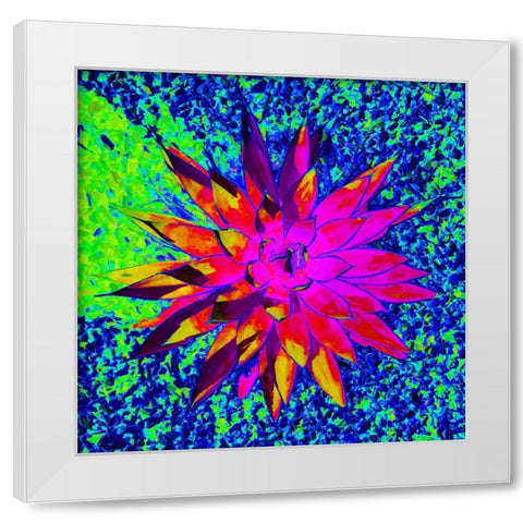 Aloe Burst I White Modern Wood Framed Art Print by Grayscale