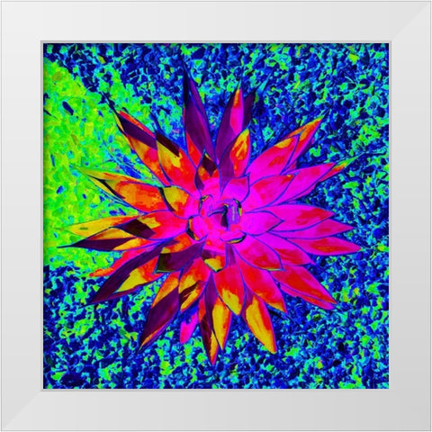 Aloe Burst I White Modern Wood Framed Art Print by Grayscale