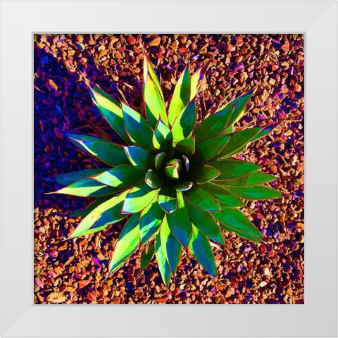 Aloe Burst II White Modern Wood Framed Art Print by Grayscale