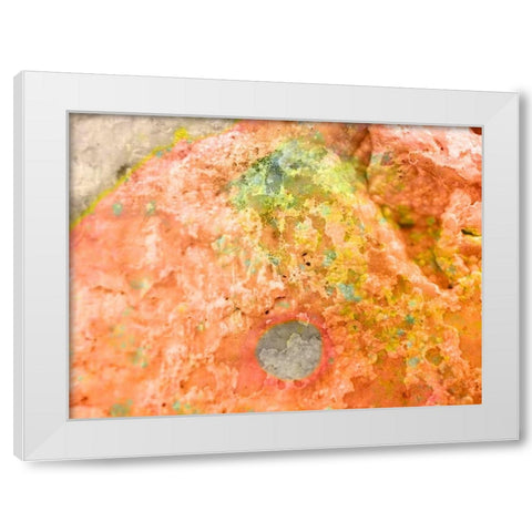 Salt Block I White Modern Wood Framed Art Print by Grayscale