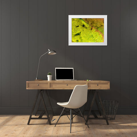 BioRidge I White Modern Wood Framed Art Print by Grayscale