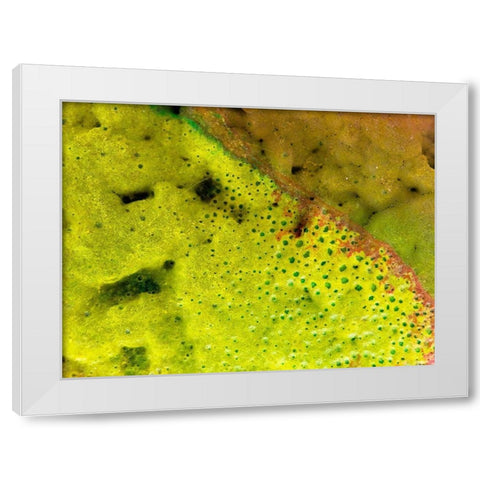BioRidge I White Modern Wood Framed Art Print by Grayscale
