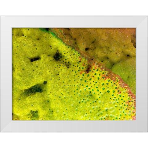 BioRidge I White Modern Wood Framed Art Print by Grayscale