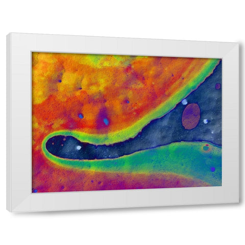Bio Rainbow I White Modern Wood Framed Art Print by Grayscale