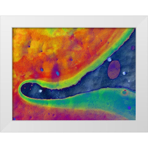 Bio Rainbow I White Modern Wood Framed Art Print by Grayscale