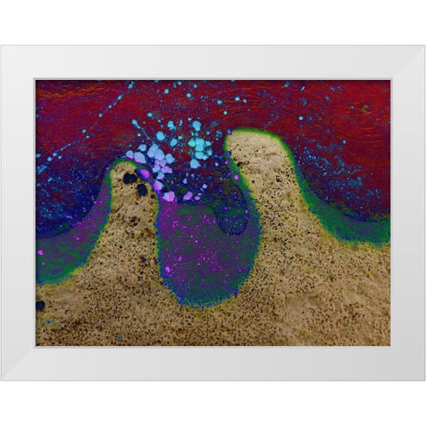 Bio Rainbow III White Modern Wood Framed Art Print by Grayscale