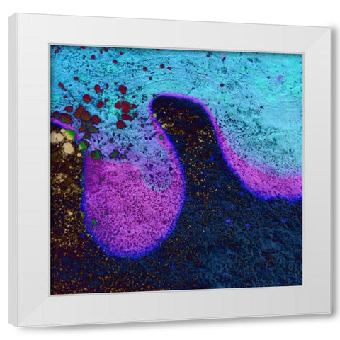 Bio Rainbow IIIb White Modern Wood Framed Art Print by Grayscale