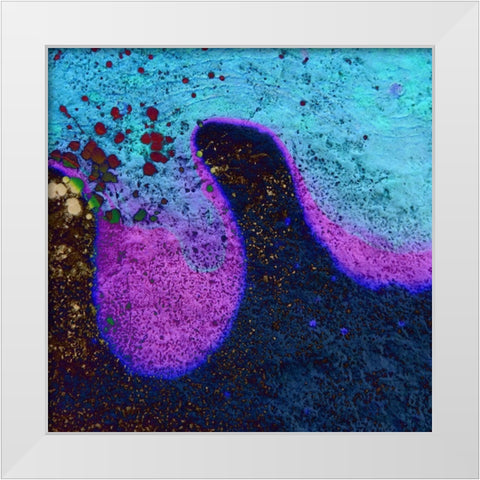 Bio Rainbow IIIb White Modern Wood Framed Art Print by Grayscale