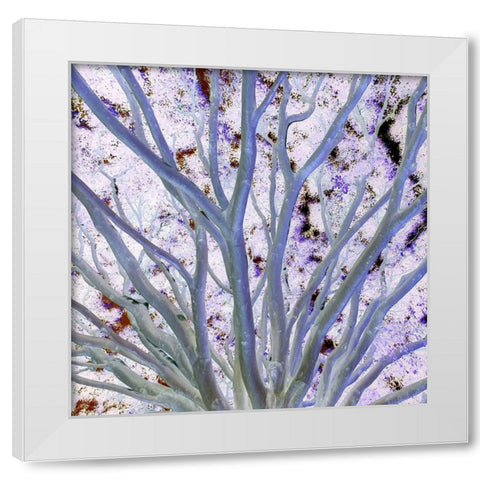 Space Canopy I White Modern Wood Framed Art Print by Grayscale