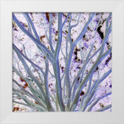 Space Canopy I White Modern Wood Framed Art Print by Grayscale